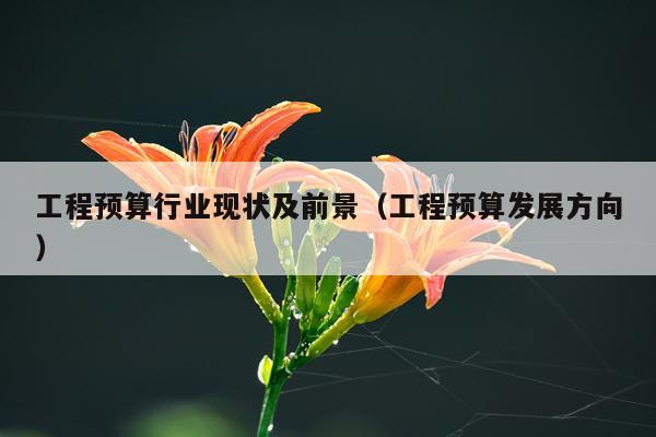 工程预算行业现状及前景（工程预算发展方向）
