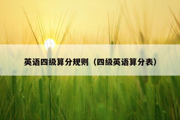 英语四级算分规则（四级英语算分表）