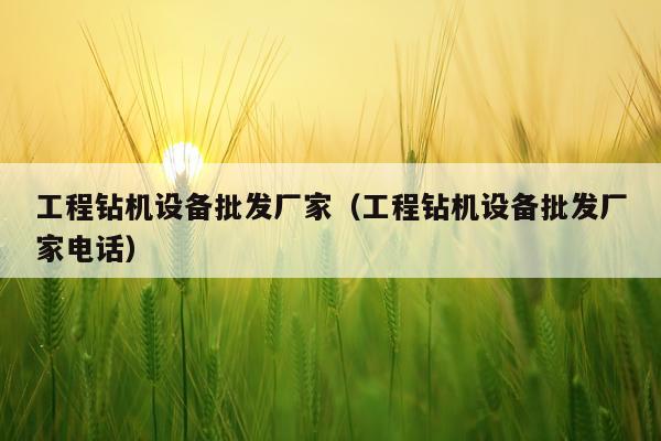工程钻机设备批发厂家（工程钻机设备批发厂家电话）