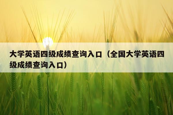 大学英语四级成绩查询入口(全国大学英语四级成绩查询入口)