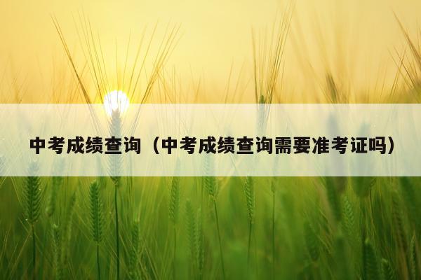 中考成绩查询（中考成绩查询需要准考证吗）