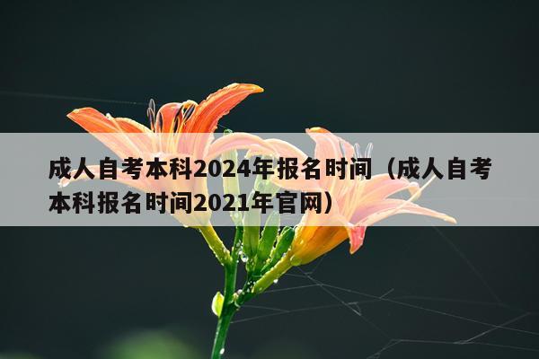 成人自考本科2024年报名时间（成人自考本科报名时间2021年官网）