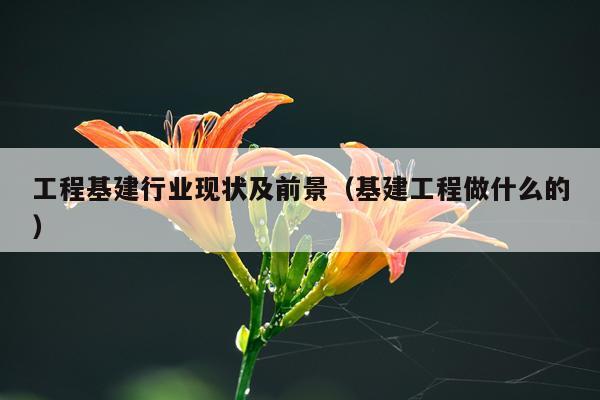 工程基建行业现状及前景（基建工程做什么的）