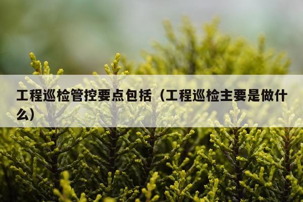 工程巡检管控要点包括（工程巡检主要是做什么）