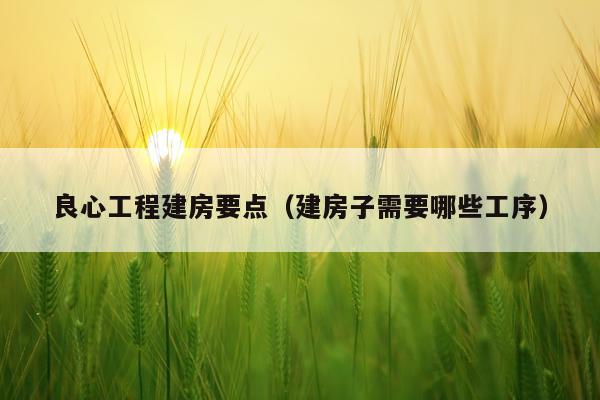 良心工程建房要点（建房子需要哪些工序）
