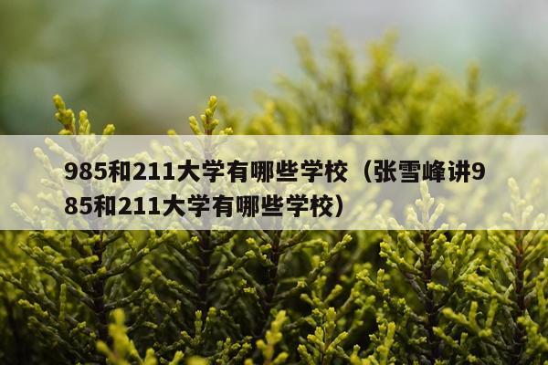 985和211大学有哪些学校（张雪峰讲985和211大学有哪些学校）