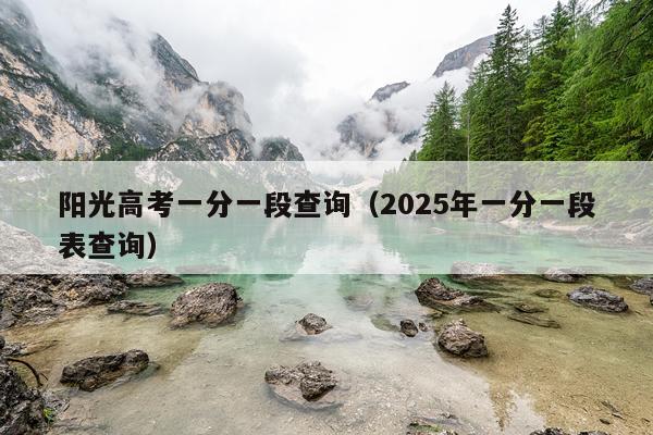 阳光高考一分一段查询（2025年一分一段表查询）