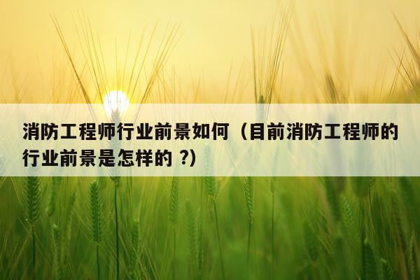 消防工程师行业前景如何(目前消防工程师的行业前景是怎样的 ?)