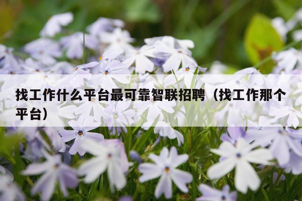 找工作什么平台最可靠智联招聘（找工作那个平台）