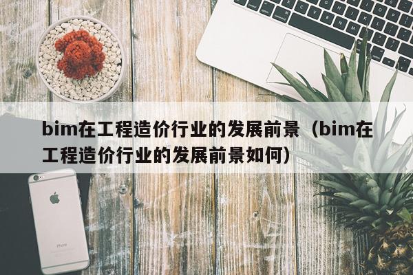 bim在工程造价行业的发展前景（bim在工程造价行业的发展前景如何）