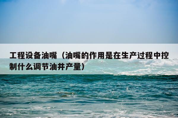 工程设备油嘴（油嘴的作用是在生产过程中控制什么调节油井产量）