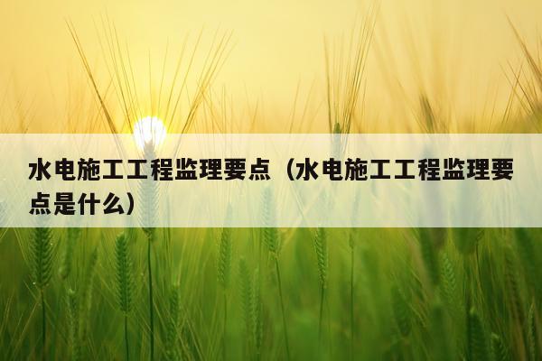水电施工工程监理要点（水电施工工程监理要点是什么）