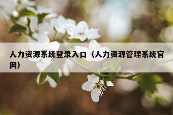 人力资源系统登录入口（人力资源管理系统官网）
