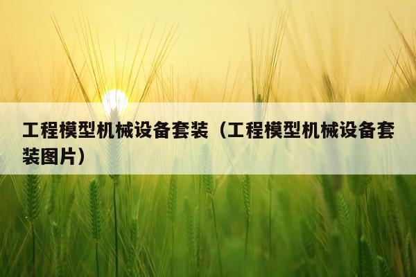 工程模型机械设备套装(工程模型机械设备套装图片)