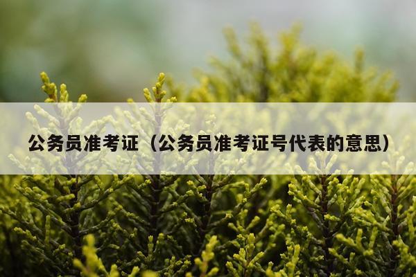 公务员准考证（公务员准考证号代表的意思）