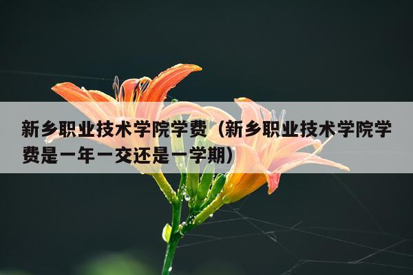 新乡职业技术学院学费（新乡职业技术学院学费是一年一交还是一学期）
