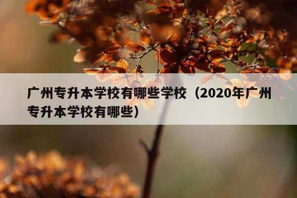 广州专升本学校有哪些学校（2020年广州专升本学校有哪些）