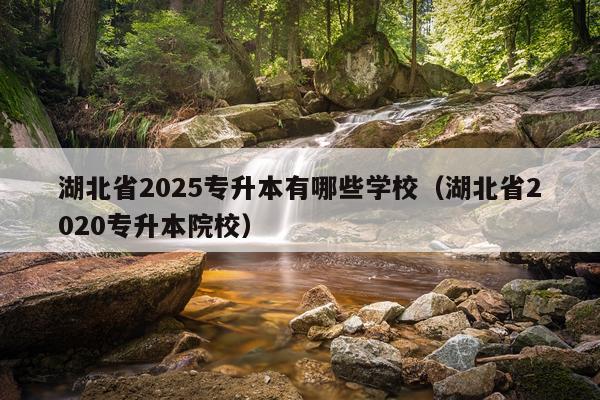 湖北省2025专升本有哪些学校（湖北省2020专升本院校）