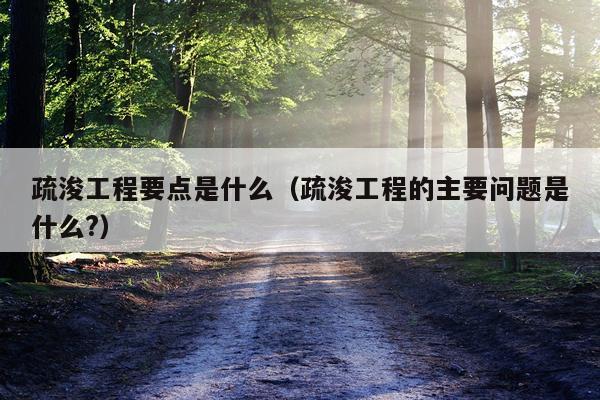疏浚工程要点是什么（疏浚工程的主要问题是什么?）