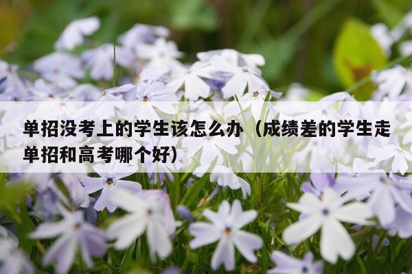 单招没考上的学生该怎么办（成绩差的学生走单招和高考哪个好）