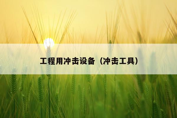 工程用冲击设备（冲击工具）