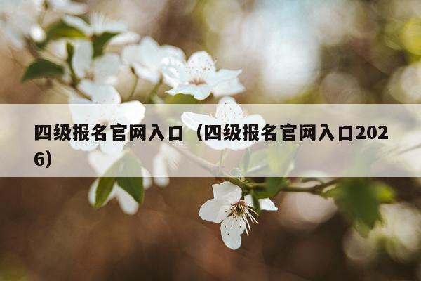 四级报名官网入口（四级报名官网入口2026）