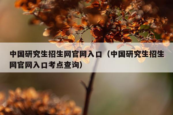 中国研究生招生网官网入口（中国研究生招生网官网入口考点查询）
