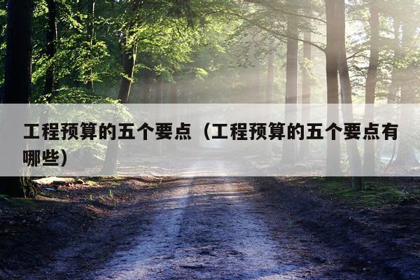工程预算的五个要点（工程预算的五个要点有哪些）