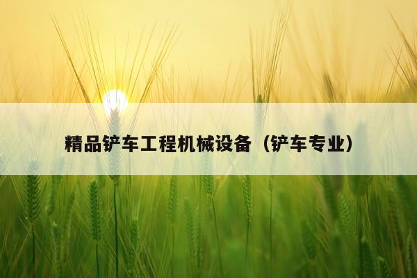 精品铲车工程机械设备（铲车专业）