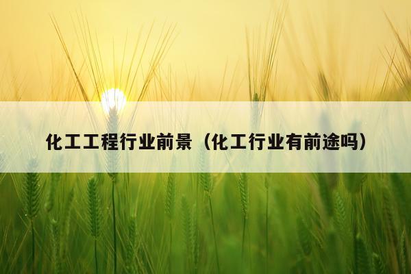 化工工程行业前景(化工行业有前途吗)