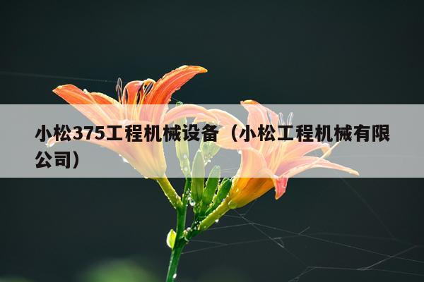 小松375工程机械设备（小松工程机械有限公司）