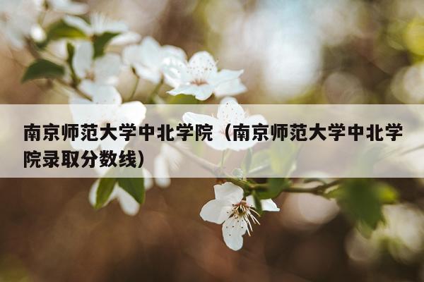 南京师范大学中北学院（南京师范大学中北学院录取分数线）
