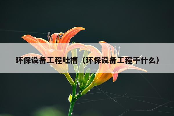 环保设备工程吐槽（环保设备工程干什么）