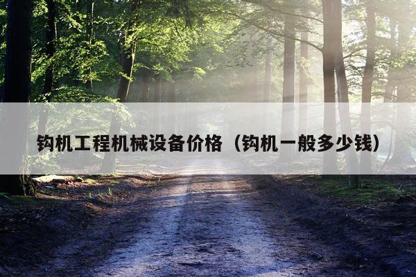 钩机工程机械设备价格（钩机一般多少钱）