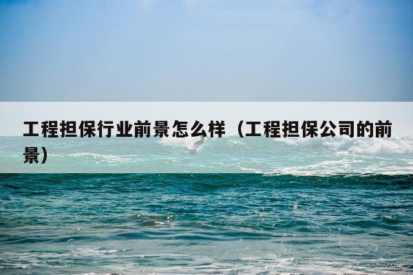 工程担保行业前景怎么样（工程担保公司的前景）