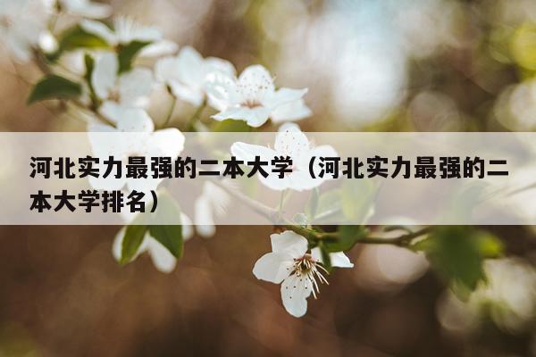 河北实力最强的二本大学（河北实力最强的二本大学排名）