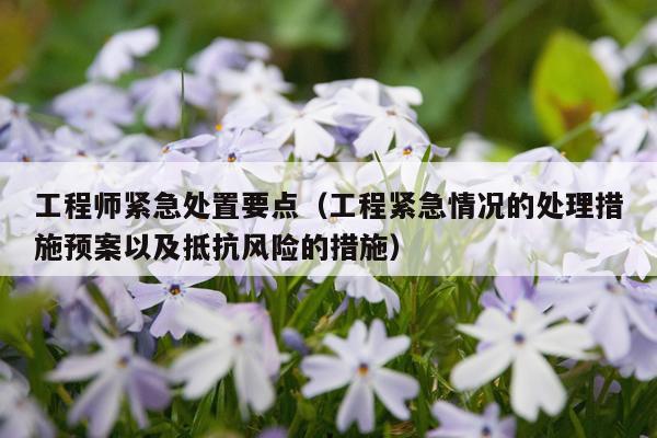 工程师紧急处置要点（工程紧急情况的处理措施预案以及抵抗风险的措施）