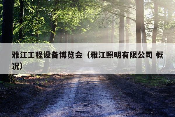 雅江工程设备博览会（雅江照明有限公司 概况）