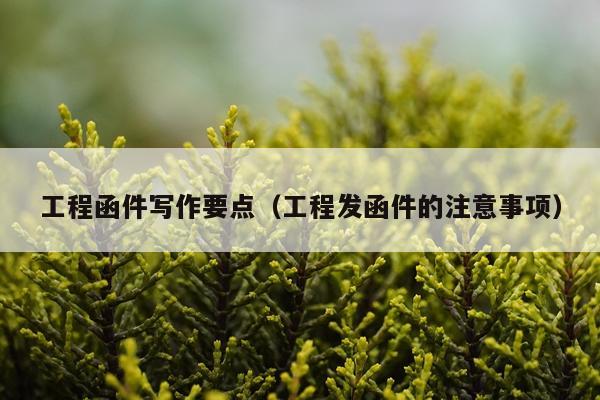 工程函件写作要点（工程发函件的注意事项）