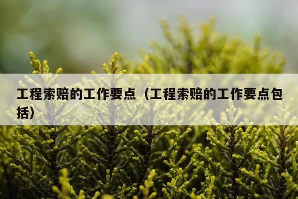 工程索赔的工作要点（工程索赔的工作要点包括）