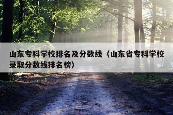 山东专科学校排名及分数线（山东省专科学校录取分数线排名榜）
