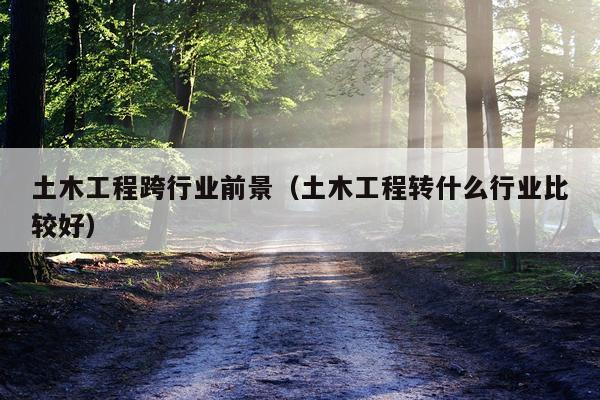 土木工程跨行业前景（土木工程转什么行业比较好）