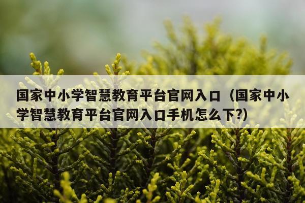 国家中小学智慧教育平台官网入口（国家中小学智慧教育平台官网入口手机怎么下?）