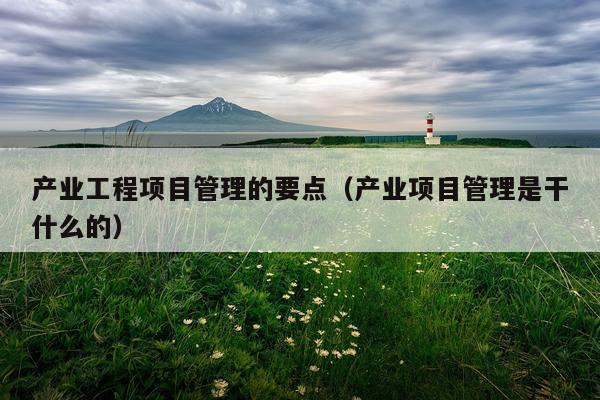 产业工程项目管理的要点（产业项目管理是干什么的）