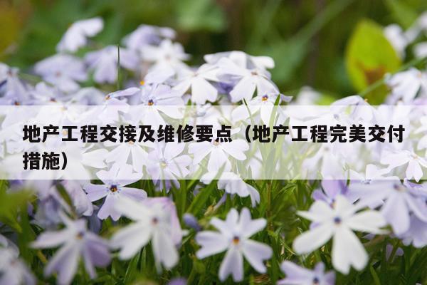 地产工程交接及维修要点（地产工程完美交付措施）