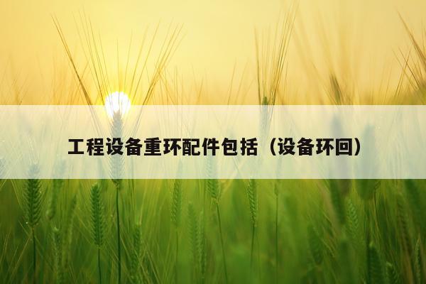 工程设备重环配件包括（设备环回）