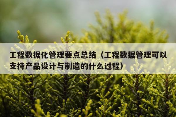工程数据化管理要点总结（工程数据管理可以支持产品设计与制造的什么过程）