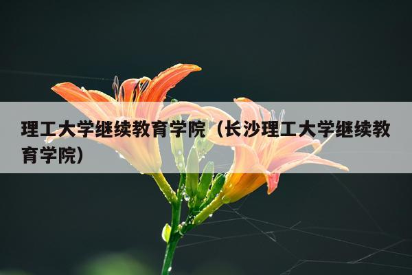 理工大学继续教育学院（长沙理工大学继续教育学院）