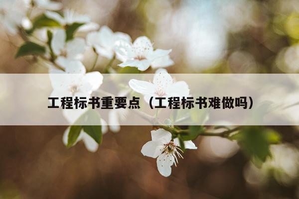 工程标书重要点(工程标书难做吗)