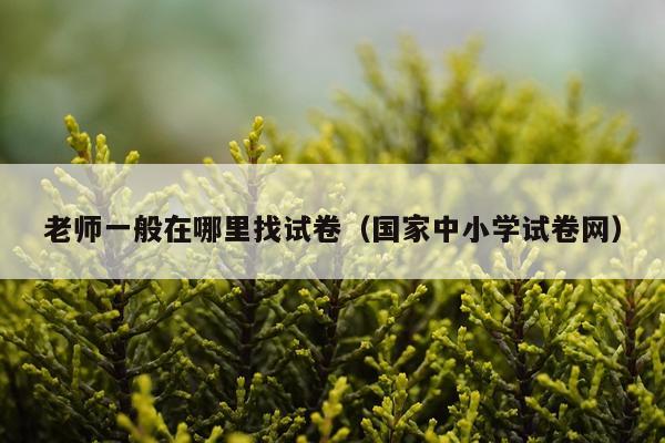 老师一般在哪里找试卷（国家中小学试卷网）